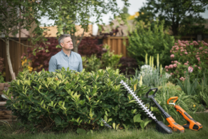 hedge trimmer